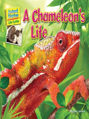 A Chameleon's Life - ebook